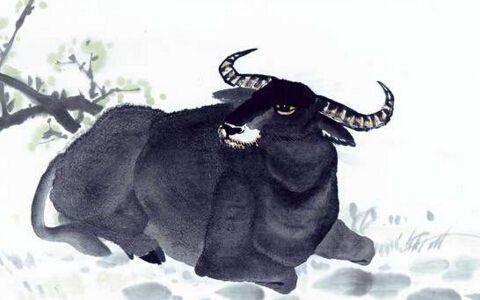 未来一个月财运一路红火,收获大的三生肖_【快