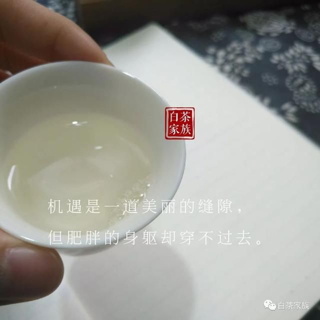 这样的冲泡方式，糟蹋了多少白茶？