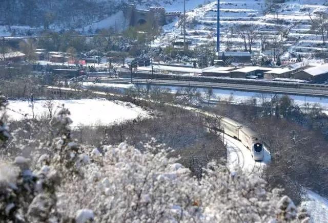 别去日本了！北京这趟6元小火车，带你穿越绝美樱花！沿途风景惊