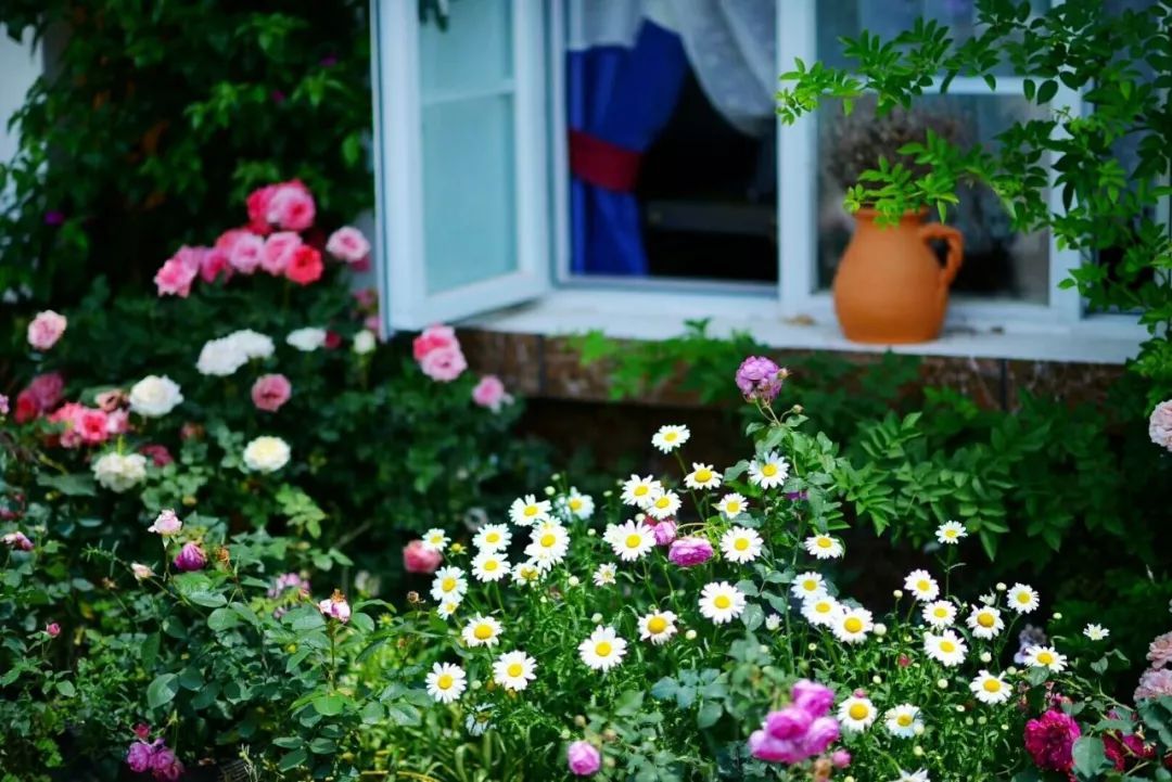 一对夫妻把青白江农家改造成“田园牧歌”，从此家有美景何必远方