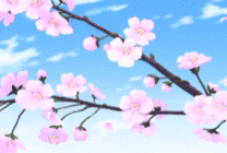 1月腊梅