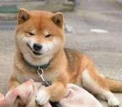 油价14日涨还是跌