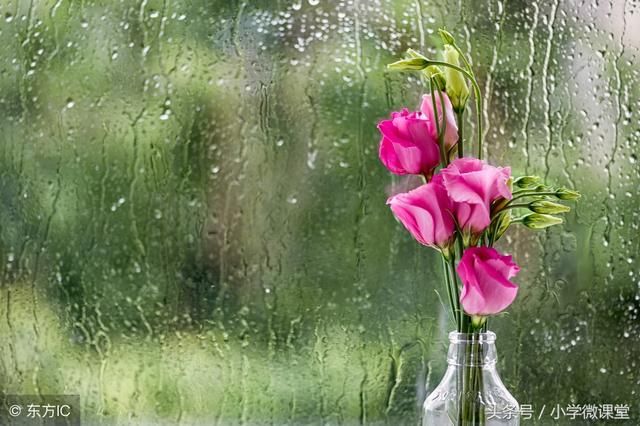 小学作文好句、好段，每天早上读10分钟，不怕作文写不好