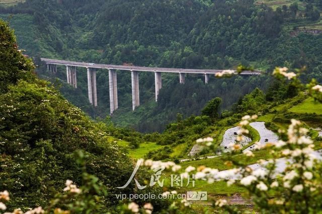 贵州龙里：高速搭起山乡脱贫路