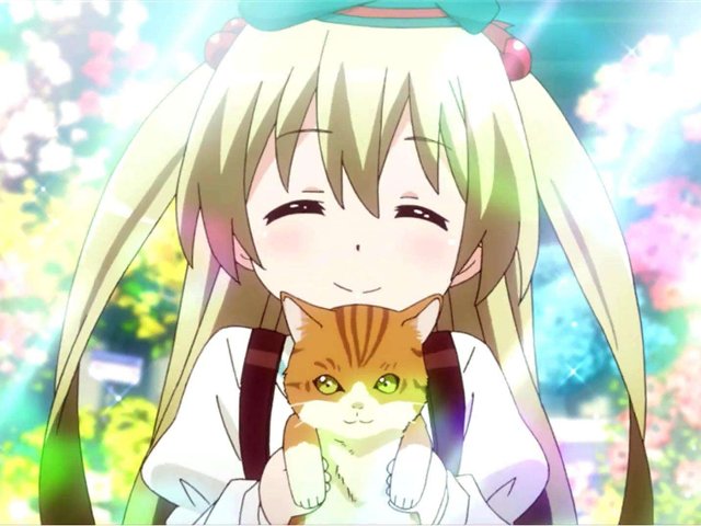 日常系的异能战斗的人气是靠本身的人设还是靠