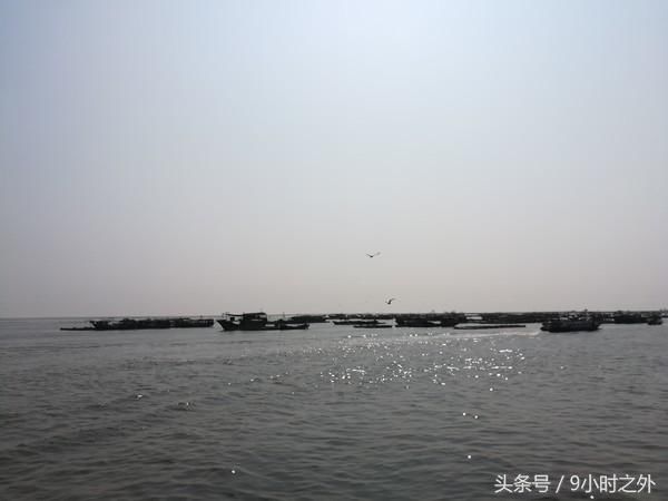 春节小长假大陆最南端湛江东海岛、硇洲岛2日游