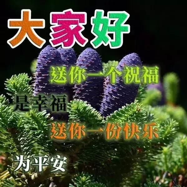 最新清晨早安v大全早上好大全表情动态表情看图片的图片包最好图片图片狼qq大全大全图片大全图片图片