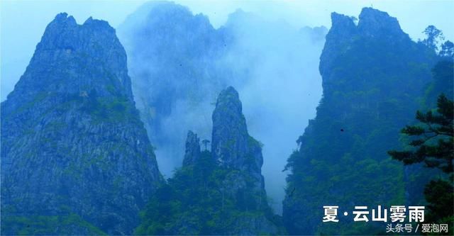 鱼腥草是中国药典收录的草药,草药来源为三白草科植物蕺菜的干燥地上部分。夏季茎叶茂盛花穗多时采割,除去杂质,晒干。鱼腥草味辛,性寒凉,归肺经。能清热解毒、消肿疗疮、利尿除湿、清热止痢、健胃消食,用治实热、热毒、湿邪、疾热为患的肺痈、疮疡肿毒、痔疮便血、脾胃积热等。现代药理实验表明,鱼腥草具有抗菌、抗病毒、提高机体免疫力、利尿等作用。 线路一:成都 >雅安多营(成雅高速)> 飞仙关(国道318)> 宝兴县(国道351快速通道/省道210)>陇东镇(宝康路) > 东拉山大峡谷 线路二:成都