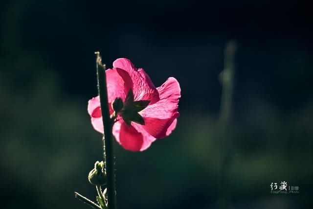 晚霞满天金湖面 夕照渔家归如歌美丽乡村下峪游之三