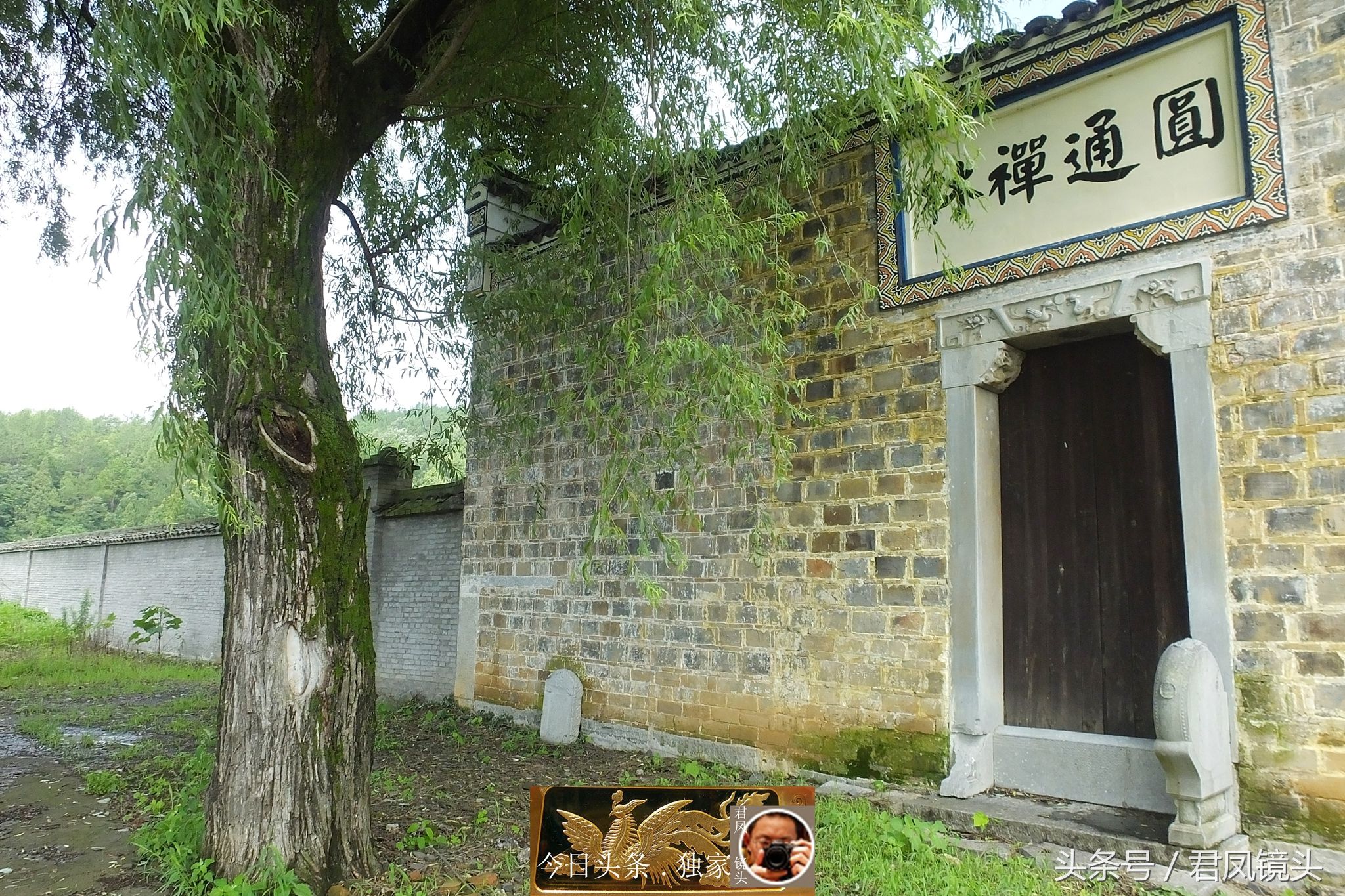 乡村趣闻:寺庙前，一棵杨柳树高约10米，树洞似菩萨的眼睛!