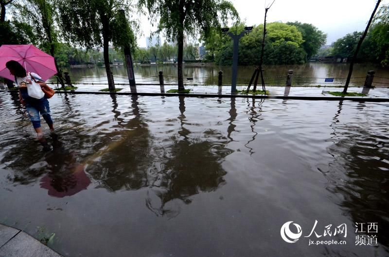 高清图：南昌遭遇强降雨开车如行船宝马车涉水趴了窝