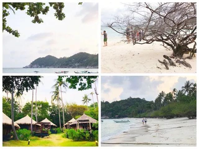 烟花三月下春蓬，泰国南部小城探秘