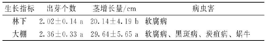 基金项目：“铁皮石斛+金线莲+黄精”的林下中药材立体套种模式