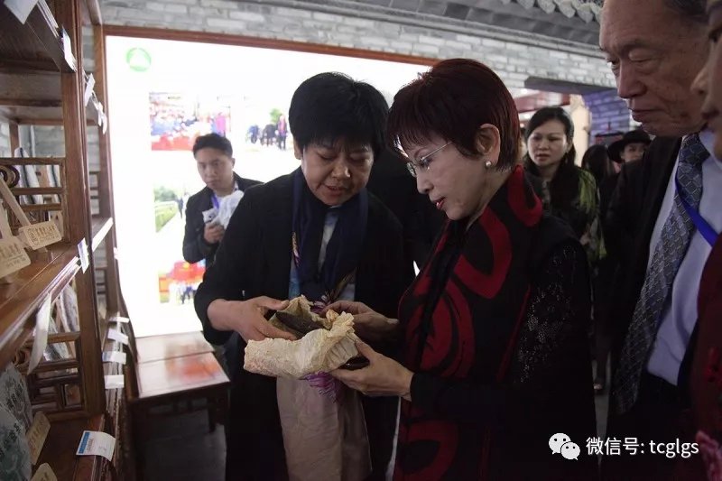 洪秀柱参观高黎贡山茶博园 亲手压制高黎贡山普洱茶收藏留念