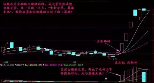 一生难遇“金蜘蛛”，一旦遇见，必将网罗天下大牛股！