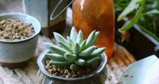 人员管理的五大要素