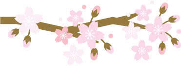 樱花漫天，是恋爱的季节？