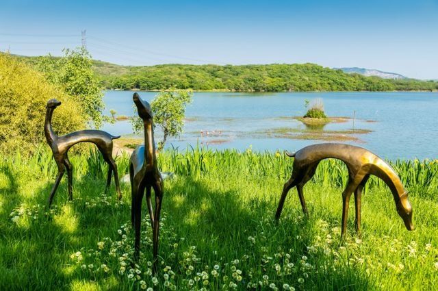 金陵十一大最美湖景豪宅曝光!这才是南京人该住的房子!