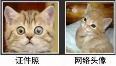 身份证照片识别