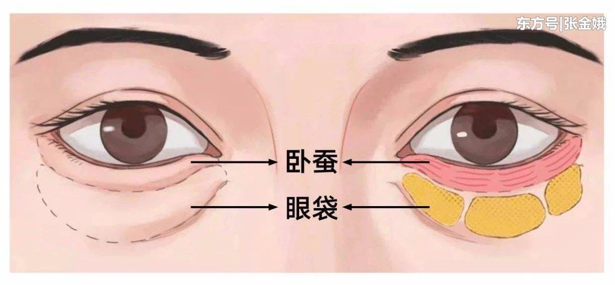 t01bef54d817498451c.jpg