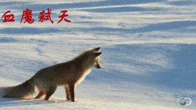 DNF超时空职业排名终于来了:奶妈独一档!乌鸡