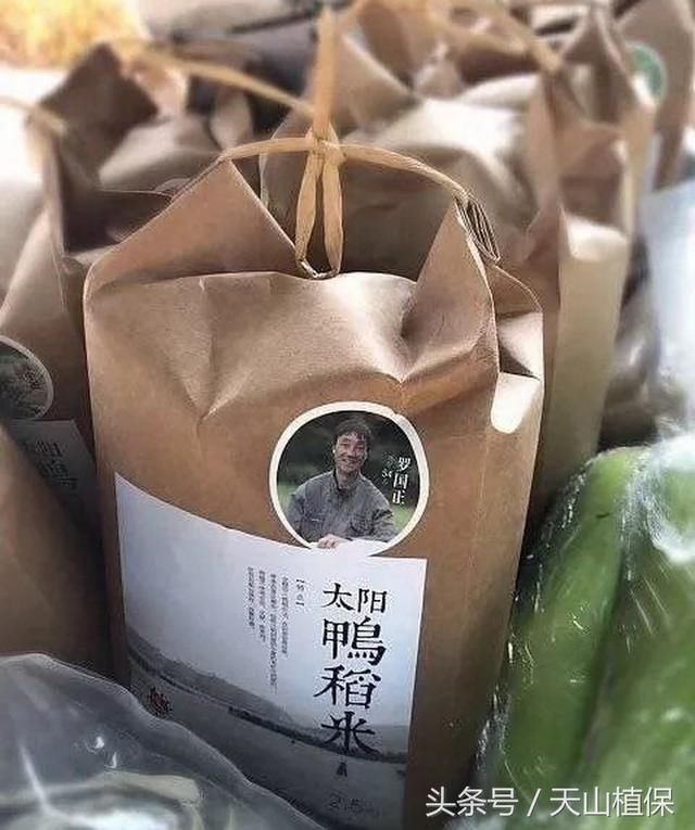 有多少人，趁着春节，逃离城市，回家种地？