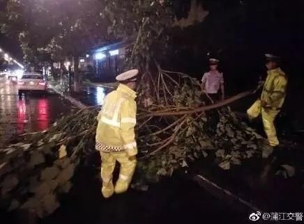 四川人，您订购的冷空气已到货，并附大风强降雨等赠品