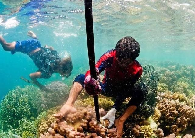 :没有国籍,世代以捕鱼为生,想出妙招和中国人贸