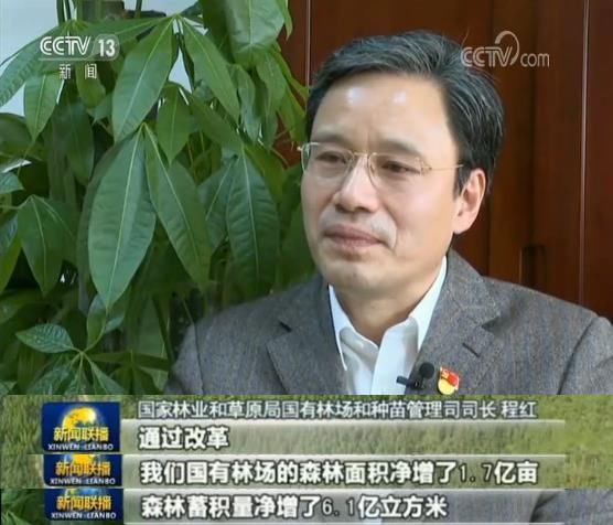 2019年我国完成的任务