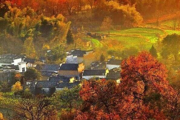 安徽秋季最美的10个地方，你去过几个地方