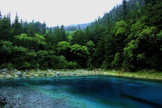 九寨沟排名前5的美景，今朝一别，再见是何日？