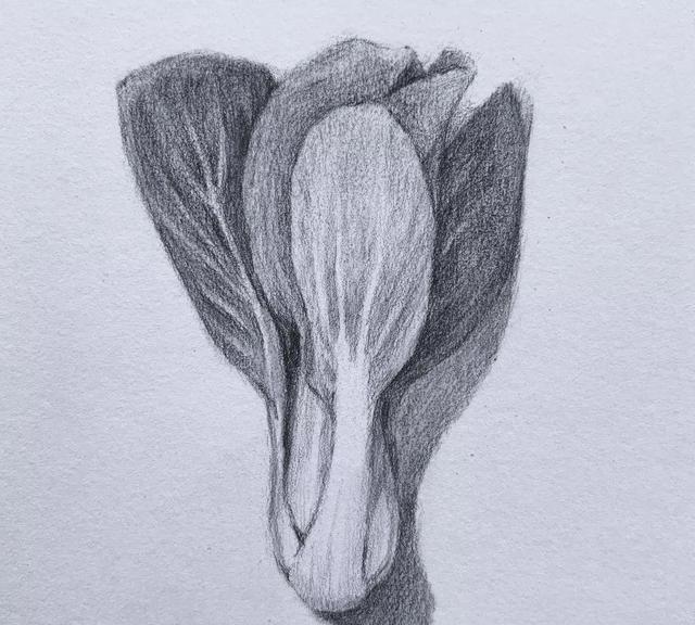 素描传奇教程,零实物步奏讲解绘画挂机基础脚本教程图片