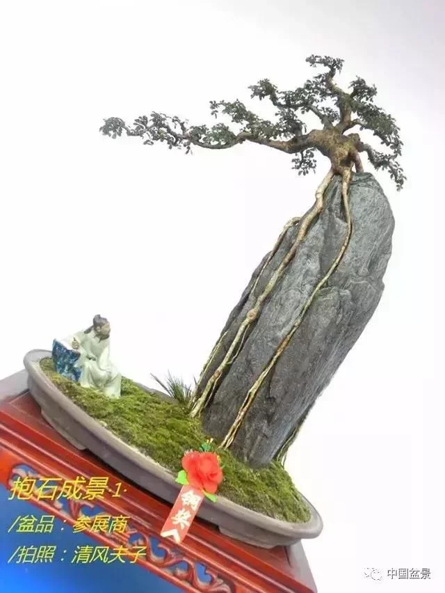 欣赏典雅新奇抱石盆景,学习抱石盆景制作技巧 - 武汉老徐 - 武汉老徐的博客 欣赏典雅新奇抱石盆景,学习抱石盆景制作技巧 - 武汉老徐 - 武汉老徐的博客
