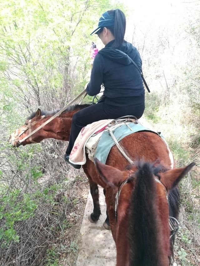 丽江、玉龙雪山、泸沽湖仙境游记