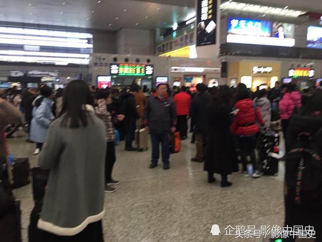 上海虹桥高铁站春运景象：千山万水挡不住游子回家过年 现场图