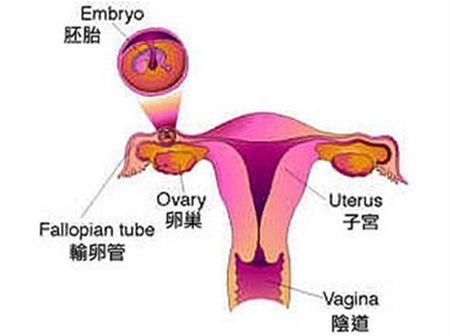 18岁女孩腹痛难忍，凌晨丧命，罪魁祸首是“室友”？