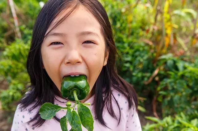 《焦点访谈》等媒体曝有机蔬菜造假，中国有机食物的真相是什么?