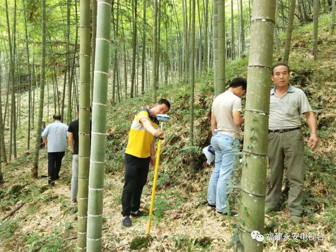 永安市三峡新能源永安贡川风电项目正式动工建