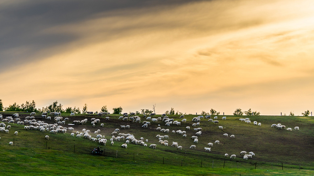 9月吉星高照,4大生肖干啥工作都赚钱,做啥事情