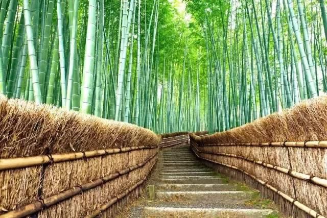 看瀑布不必去看黄果树，还有这些性价比超高的景点不被人知道