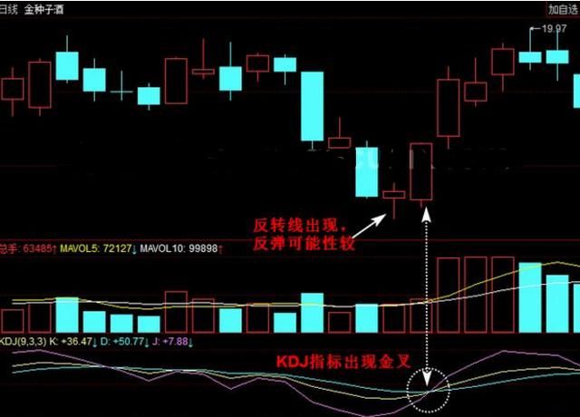 中国股市已经进入完全“崩溃状态”，一个触目惊心的伤疤被揭开？