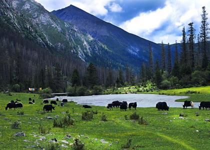 美哭了!四川的这些冷门景点!五一去刚好!