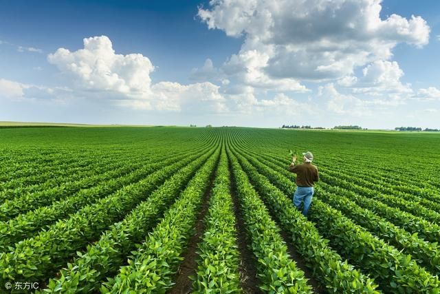 打破马尔萨斯陷阱?医用纳米粒子可为农作物输