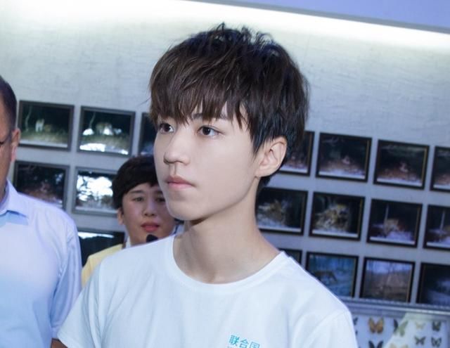 王俊凯为保护东北虎发声 身体力行致敬巡护工