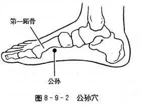 脾经常畅通重病、急病、怪病难上身