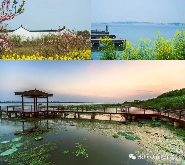 喜讯!苏州市5村入选省特色景观旅游名村及创建