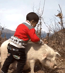 搞笑趣图段子:秋名山的灵魂骑士