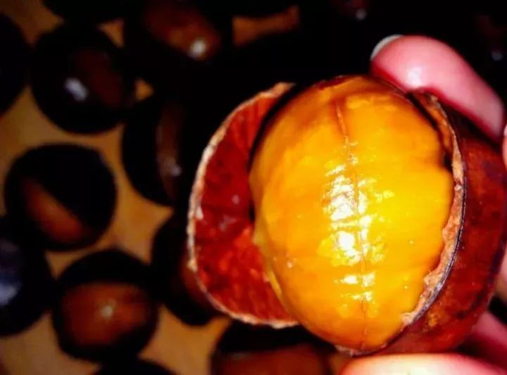 小时候,胶州的冬天是这样的.看哭所有人!