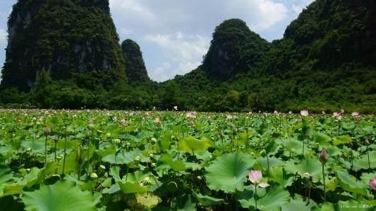 5月14号发财日，顺风顺水，正财横财如雨，存款过10位数的生肖