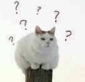 【签证】重要消息!韩国H2签证抽签终于开始了